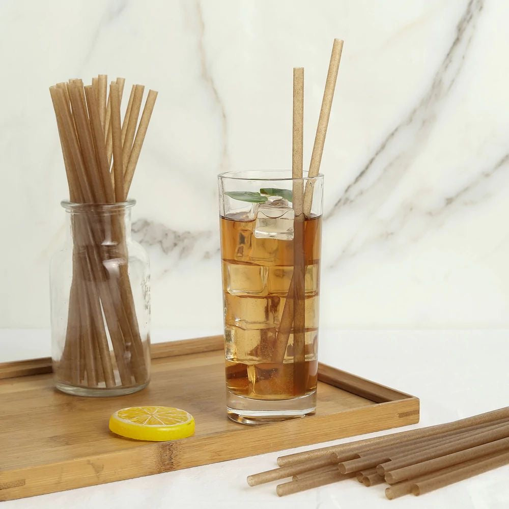 100 PCS Sugarcane Straw