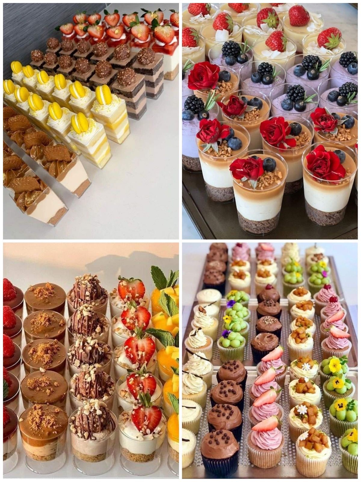 Mini Dessert Cups | For Pudding, Panna Cotta, Gelatine, Parfait